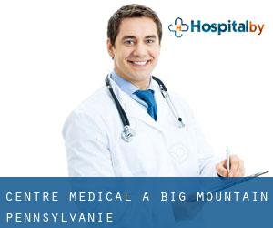 Centre médical à Big Mountain (Pennsylvanie)