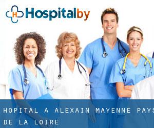 hôpital à Alexain (Mayenne, Pays de la Loire)