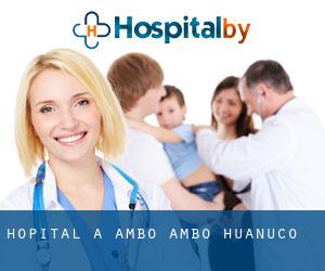hôpital à Ambo (Ambo, Huanuco)