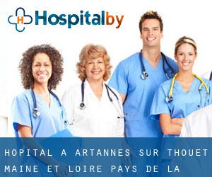 hôpital à Artannes-sur-Thouet (Maine-et-Loire, Pays de la Loire)
