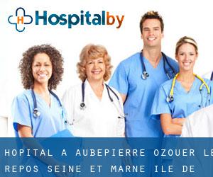hôpital à Aubepierre-Ozouer-le-Repos (Seine-et-Marne, Île-de-France)