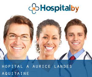 hôpital à Aurice (Landes, Aquitaine)