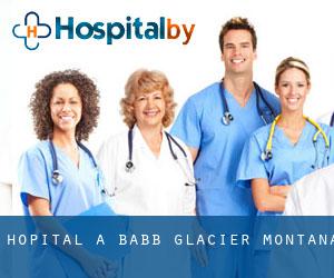 hôpital à Babb (Glacier, Montana)