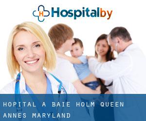hôpital à Baie Holm (Queen Anne's, Maryland)