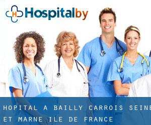 hôpital à Bailly-Carrois (Seine-et-Marne, Île-de-France)