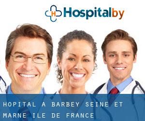 hôpital à Barbey (Seine-et-Marne, Île-de-France)