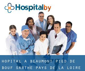 hôpital à Beaumont-Pied-de-Bœuf (Sarthe, Pays de la Loire)