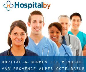 hôpital à Bormes-les-Mimosas (Var, Provence-Alpes-Côte d'Azur)