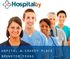 hôpital à Causey Place (Brewster, Texas)