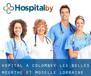 hôpital à Colombey-les-Belles (Meurthe-et-Moselle, Lorraine)