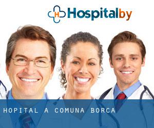 hôpital à Comuna Borca