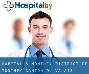 hôpital à Monthey (District de Monthey, Canton du Valais)