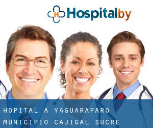 hôpital à Yaguaraparo (Municipio Cajigal, Sucre)