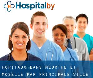 hôpitaux dans Meurthe-et-Moselle par principale ville - page 13