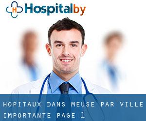 hôpitaux dans Meuse par ville importante - page 1