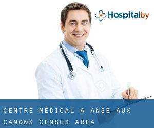 Centre médical à Anse-aux-Canons (census area)
