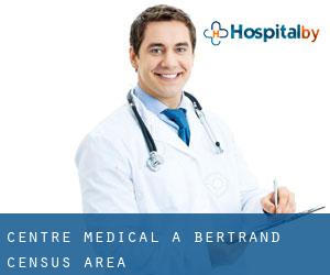 Centre médical à Bertrand (census area)