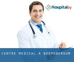 Centre médical à Boornbergum