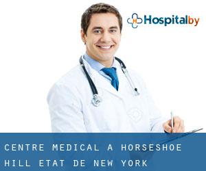 Centre médical à Horseshoe Hill (État de New York)