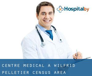 Centre médical à Wilfrid-Pelletier (census area)