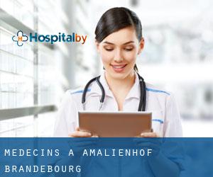 Médecins à Amalienhof (Brandebourg)