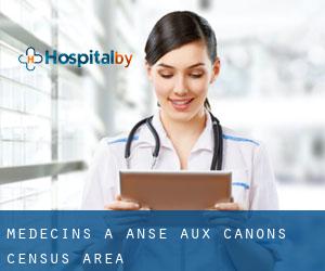 Médecins à Anse-aux-Canons (census area)