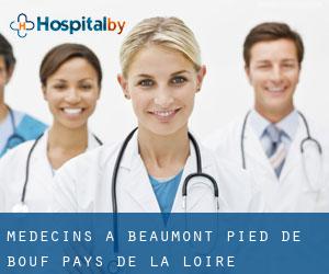 Médecins à Beaumont-Pied-de-Bœuf (Pays de la Loire)