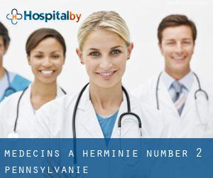 Médecins à Herminie Number 2 (Pennsylvanie)