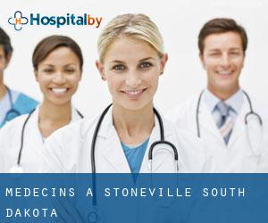 Médecins à Stoneville (South Dakota)