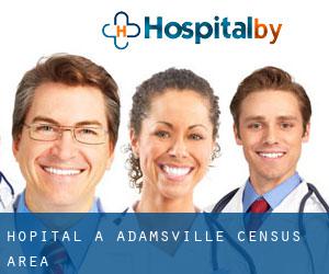 hôpital à Adamsville (census area)
