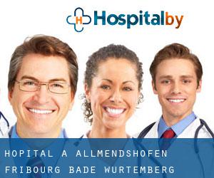 hôpital à Allmendshofen (Fribourg, Bade-Wurtemberg)