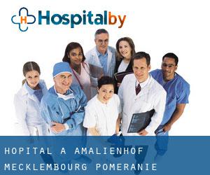 hôpital à Amalienhof (Mecklembourg-Poméranie)