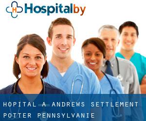 hôpital à Andrews Settlement (Potter, Pennsylvanie)
