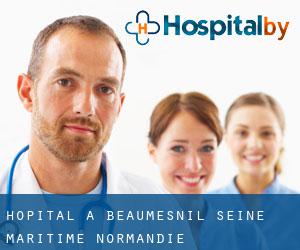 hôpital à Beaumesnil (Seine-Maritime, Normandie)