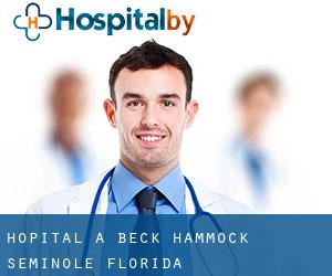 hôpital à Beck Hammock (Seminole, Florida)
