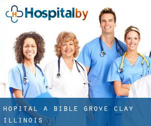 hôpital à Bible Grove (Clay, Illinois)