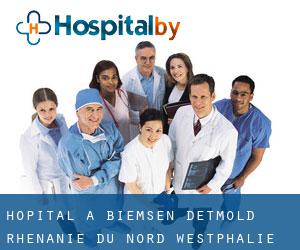 hôpital à Biemsen (Detmold, Rhénanie du Nord-Westphalie)