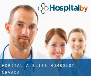 hôpital à Bliss (Humboldt, Nevada)