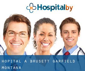hôpital à Brusett (Garfield, Montana)