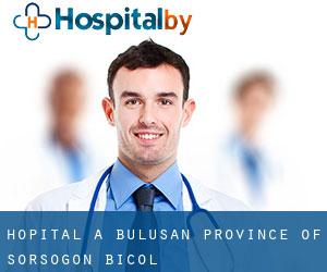 hôpital à Bulusan (Province of Sorsogon, Bicol)