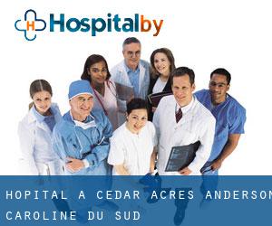 hôpital à Cedar Acres (Anderson, Caroline du Sud)