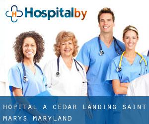 hôpital à Cedar Landing (Saint Mary's, Maryland)