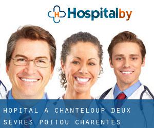 hôpital à Chanteloup (Deux-Sèvres, Poitou-Charentes)