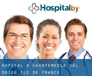 hôpital à Chantemesle (Val-d'Oise, Île-de-France)