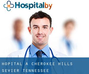 hôpital à Cherokee Hills (Sevier, Tennessee)