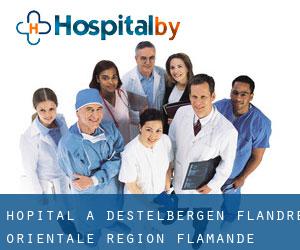 hôpital à Destelbergen (Flandre-Orientale, Région Flamande)