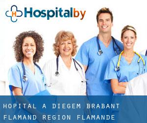 hôpital à Diegem (Brabant-Flamand, Région Flamande)