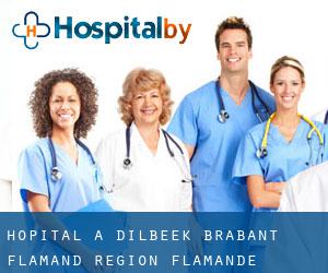 hôpital à Dilbeek (Brabant-Flamand, Région Flamande)