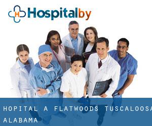 hôpital à Flatwoods (Tuscaloosa, Alabama) hôpital à Flatwoods (Tuscaloosa, Alabama)