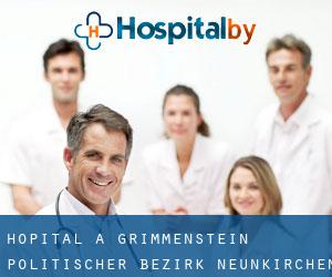 hôpital à Grimmenstein (Politischer Bezirk Neunkirchen, Basse-Autriche)